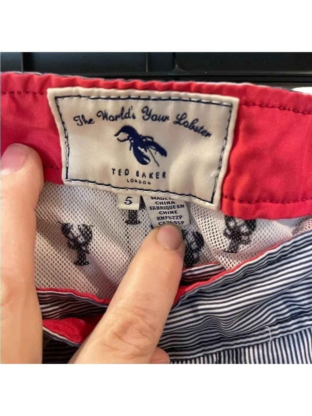 Ted Baker Men’s Swim Trunk Shorts Multi Striped Swimwear Mesh Lined Size 5 XL